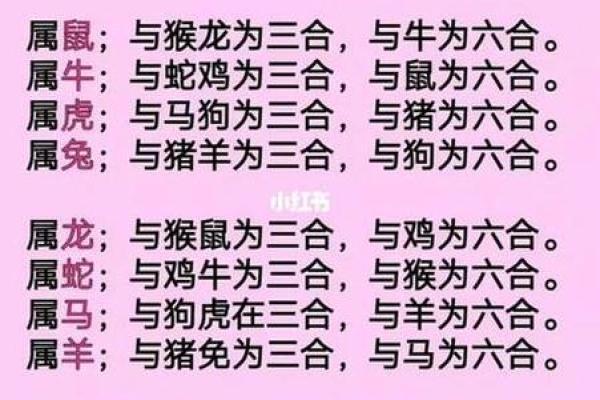 1994年属什么生肖配对最好