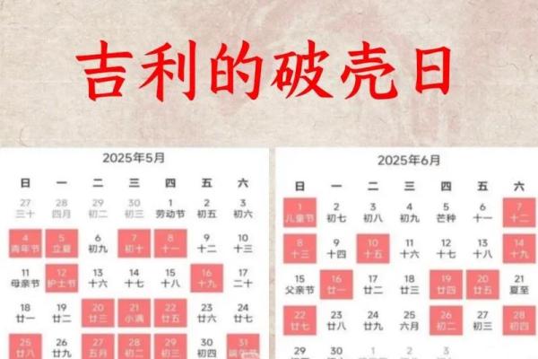 属蛇出生最好六个吉日 属蛇的出生吉日