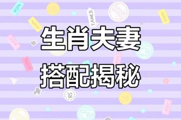 夫妻配对，对照看看。