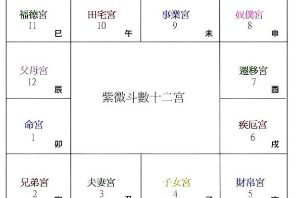 紫薇斗数怎样看二婚命