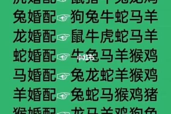 最佳的十二生肖婚姻配对大全