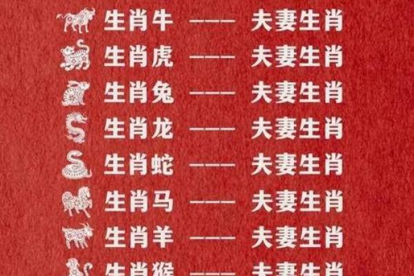 1982年属什么生肖配对最好 1982年属什么生肖的最佳配偶