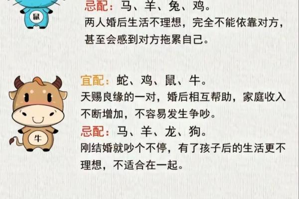 1982年属什么生肖配对最好 1982年属什么生肖的最佳配偶