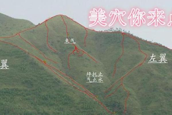 风水点穴_青蛙捕食穴应点在什么地方
