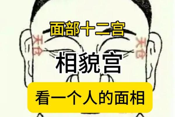 相貌宫紫薇斗数