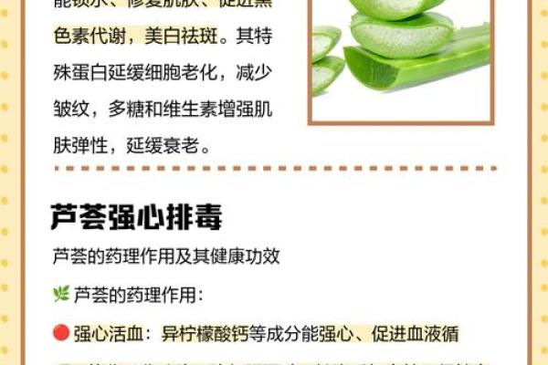 芦荟的风水作用