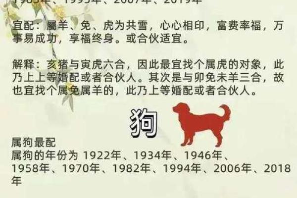 生肖查询：1996年属什么生肖配对