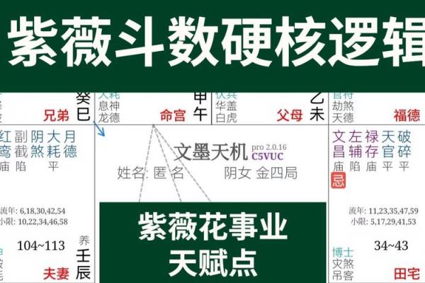 紫微斗数之天贵星，恩光星作用