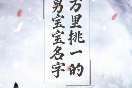 紫薇斗数文曜