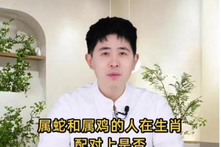 生肖鸡和生肖蛇能够配对吗