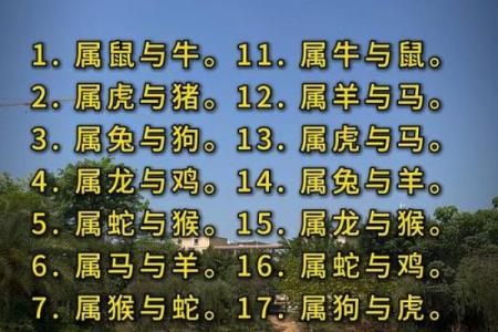 哪个属相夫妻配对好？这5对简直绝配，在一起就不会分开
