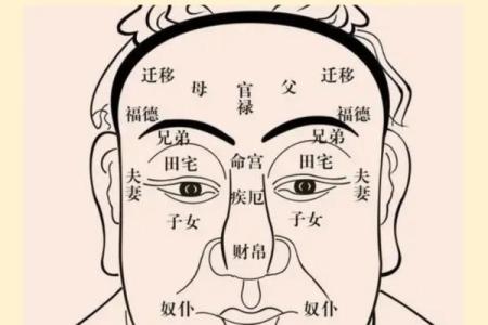 八字排盘怎么看图解