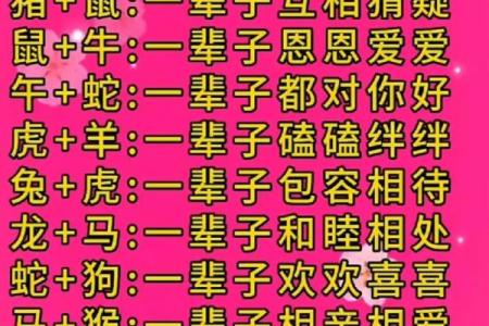 生肖蛇和生肖猪能够配对吗