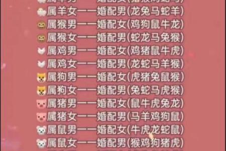生肖配对 十二生肖最佳配对表格