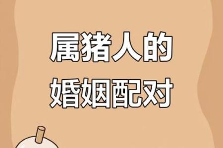 属猪的婚姻配对最佳 属猪的婚配宜忌