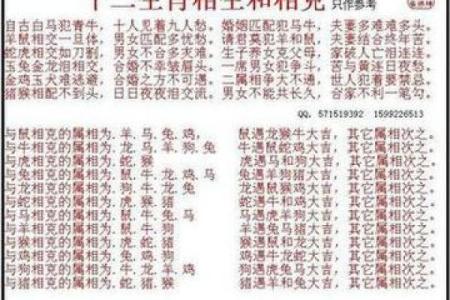 属龙和属狗适合做夫妻吗 配对有什么缺点