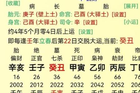 炬吉日运0815【辛亥日】：丁火不太顺心 壬水避免言辞过激