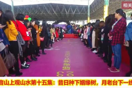 月老掉线姻缘树