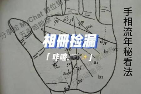 八字和手相
