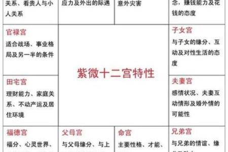 紫薇斗数向心忌