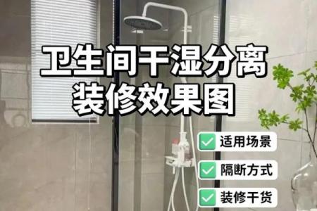 装修房子效果图干湿风水