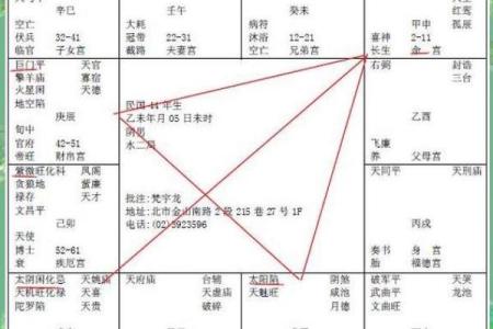 紫薇斗数紫薇入命宫