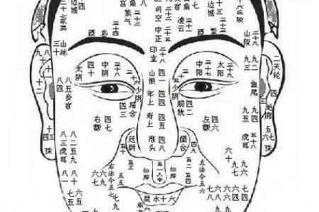 通过脸算命
