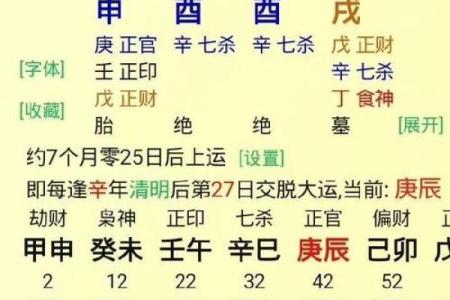 丙戌日八字