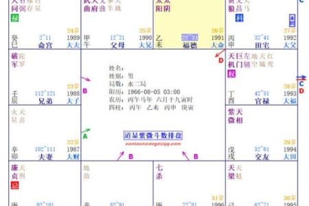 紫薇斗数看女命