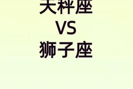 狮子座和摩羯座的配对指数