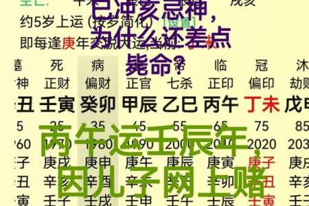 八字取名免费测算,八字算命免费测八字起名