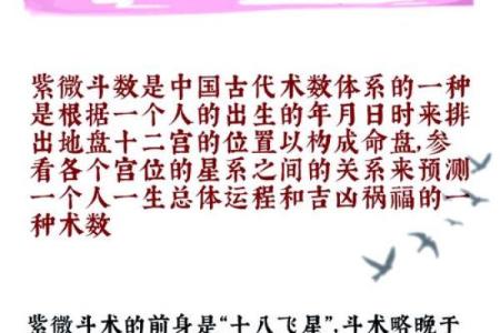 壹年山人紫薇斗数