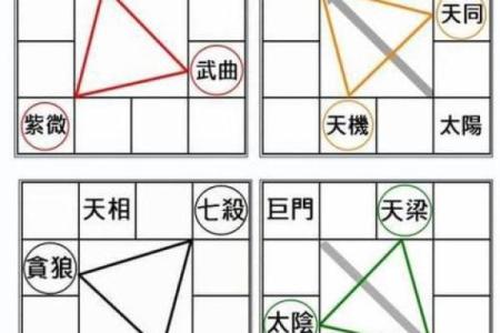 惯索紫薇斗数