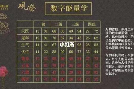 测算qq号码吉凶查询,易安居手机号码测吉凶
