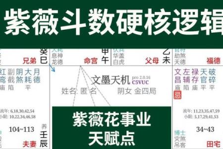 紫微斗数之天贵星，恩光星作用