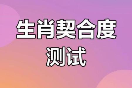 生肖配对指数 生肖配对指数真的准吗
