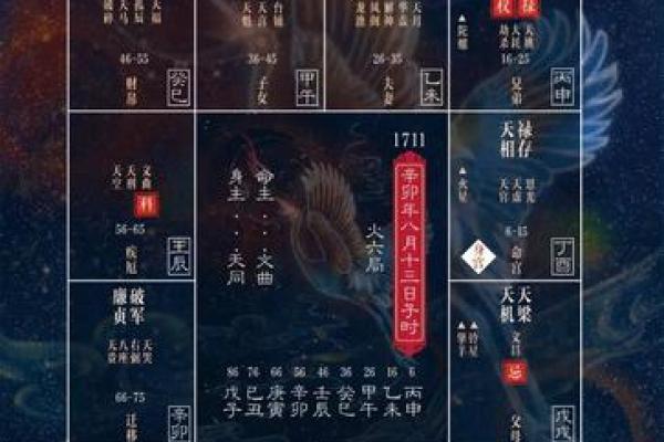 紫薇斗数看胖瘦