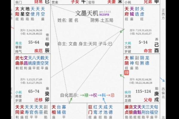 紫薇斗数如何看工作 紫薇斗数如何看工作