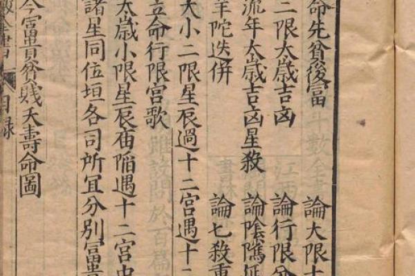 美女的紫薇斗数