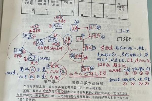 中国传统星象术紫薇斗数