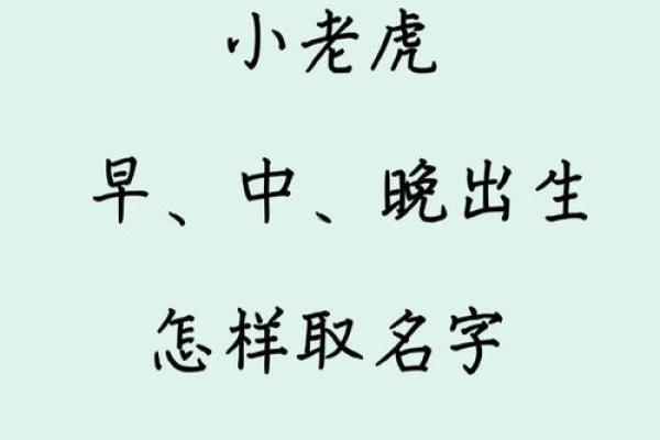属虎是哪一年出生的 属虎的男孩出生吉日