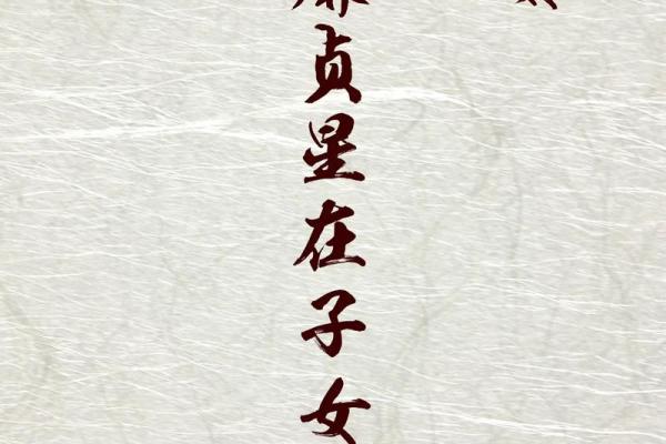 紫薇斗数会照