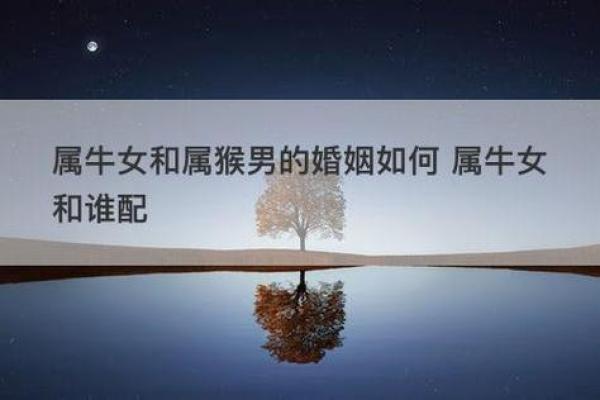 属猴和属牛的八字合吗