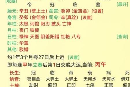 苏民峰八字
