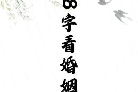 婚姻看八字合不合#国学文化