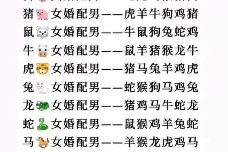 2005年属什么生肖配对最好,2005年属鸡的属相婚配表