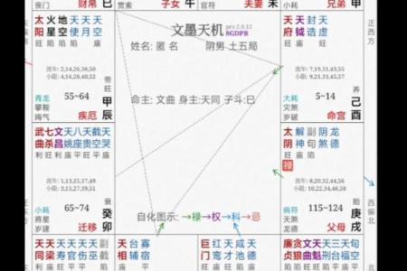 紫薇斗数如何看工作