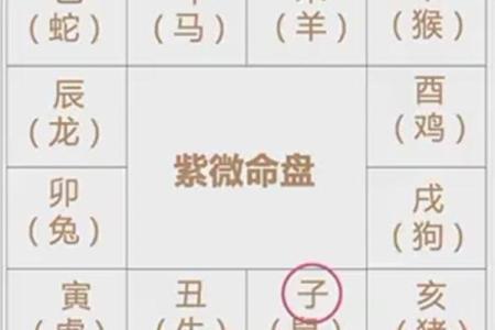 紫薇斗数官方网