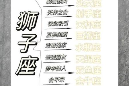 属鸡的狮子座血型分析