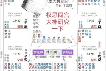 八字紫微星是什么意思